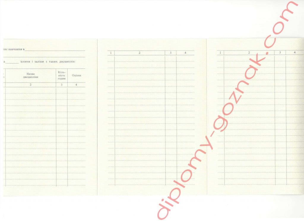 Диплом специалиста 1993-1999 годов - Фото 3 Диплом специалиста 1993-1999 годов - Фото 3